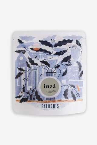 Colombia - Inzá Washed